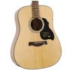 Richwood D40 acoustic guitar