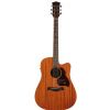 Richwood D-50-CE electro acoustic guitar