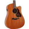 Richwood D-50-CE electro acoustic guitar