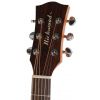 Richwood D-50-CE electro acoustic guitar