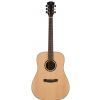 Dowina D111S- LE acoustic guitar