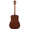 Dowina D111S- LE acoustic guitar