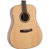 Dowina D111S- LE acoustic guitar