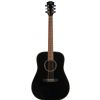 Dowina D555 BK acoustic guitar