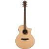 Ibanez AEW 21VK NT electro acoustic guitar