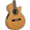 Richwood RC-16-CE NT electric/acoustic guitar