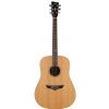 VGS 500300 V1 acoustic guitar