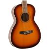 Ibanez PN15-BS acoustic guitar