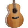 Takamine GD20-NS acoustic guitar