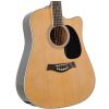 T.Burton Riverside W C NT acoustic guitar