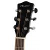 T.Burton Riverside W C NT acoustic guitar