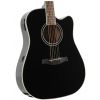 Ibanez LE300 BK electro acoustic guitar