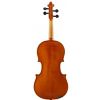 Strunal 920 1/2 violin