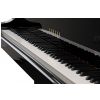 Yamaha C5X PE grand piano (200 cm)