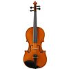 Strunal 1750 concert violin 1/2