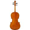 Strunal 1750 concert violin 1/2