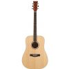 Morrison G 1002 NS acoustic guitar