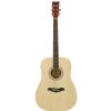 Morrison MGW305 NT acoustic guitar