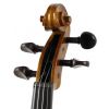 Stentor 1400 / C Student I 3/4 violin