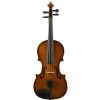 Stentor 1400 / H Student I 1/10 violin