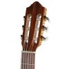 Gewa Pro Arte GC230 4/4 classical guitar, spruce