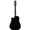 T.Burton Maiden HG WCBK 12-string acoustic guitar