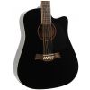 T.Burton Maiden HG WCBK 12-string acoustic guitar