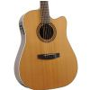 Dowina DCE333 electro/acoustic guitar