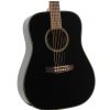 Dowina D555 BKW acoustic guitar