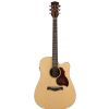 Richwood D-20-CE electro acoustic guitar