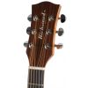 Richwood D-20-CE electro acoustic guitar