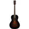 Ibanez AVN1-BS acoustic guitar