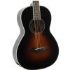 Ibanez AVN1-BS acoustic guitar