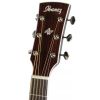 Ibanez AVN1-BS acoustic guitar