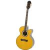 Epiphone Joan Sebastian Triunfador electro/acoustic guitar