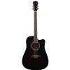 T.Burton Ragent W C WRS acoustic guitar