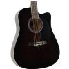 T.Burton Ragent W C WRS acoustic guitar