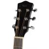 T.Burton Ragent W C WRS acoustic guitar