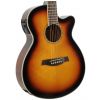 Ibanez AEG 10 II VS electro acoustic guitar