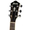 Ibanez AEG 10 II VS electro acoustic guitar