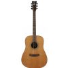 Morrison MDG 15BAD acoustic guitar