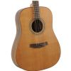 Morrison MDG 15BAD acoustic guitar