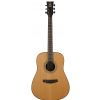 Morrison MM 15D Satin acoustic guitar