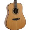 Morrison MM 15D Satin acoustic guitar