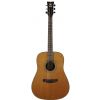 Morrison MM 5D Gloss acoustic guitar