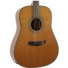 Morrison MM 5D Gloss acoustic guitar