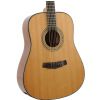 Morrison MC 5D Gloss acoustic guitar