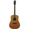 Morrison MM 5D acoustic guitar