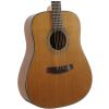 Morrison MM 5D acoustic guitar