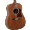 Marris D 220M acoustic guitar